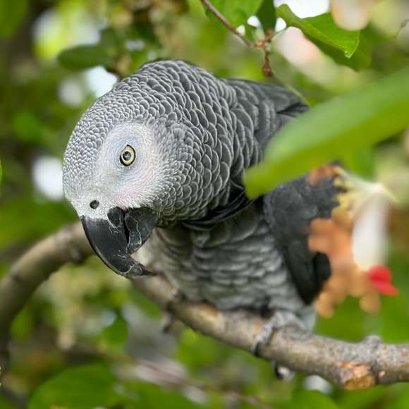 Meet your mother-daughter Poshers, Samantha & Kyla - Picture 3 of 4